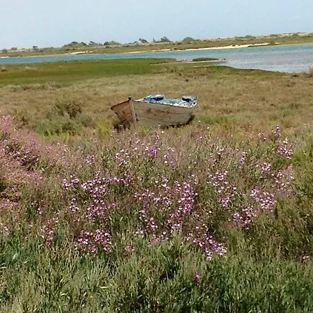Holiday home Casa Da Nova Ponte Tavira